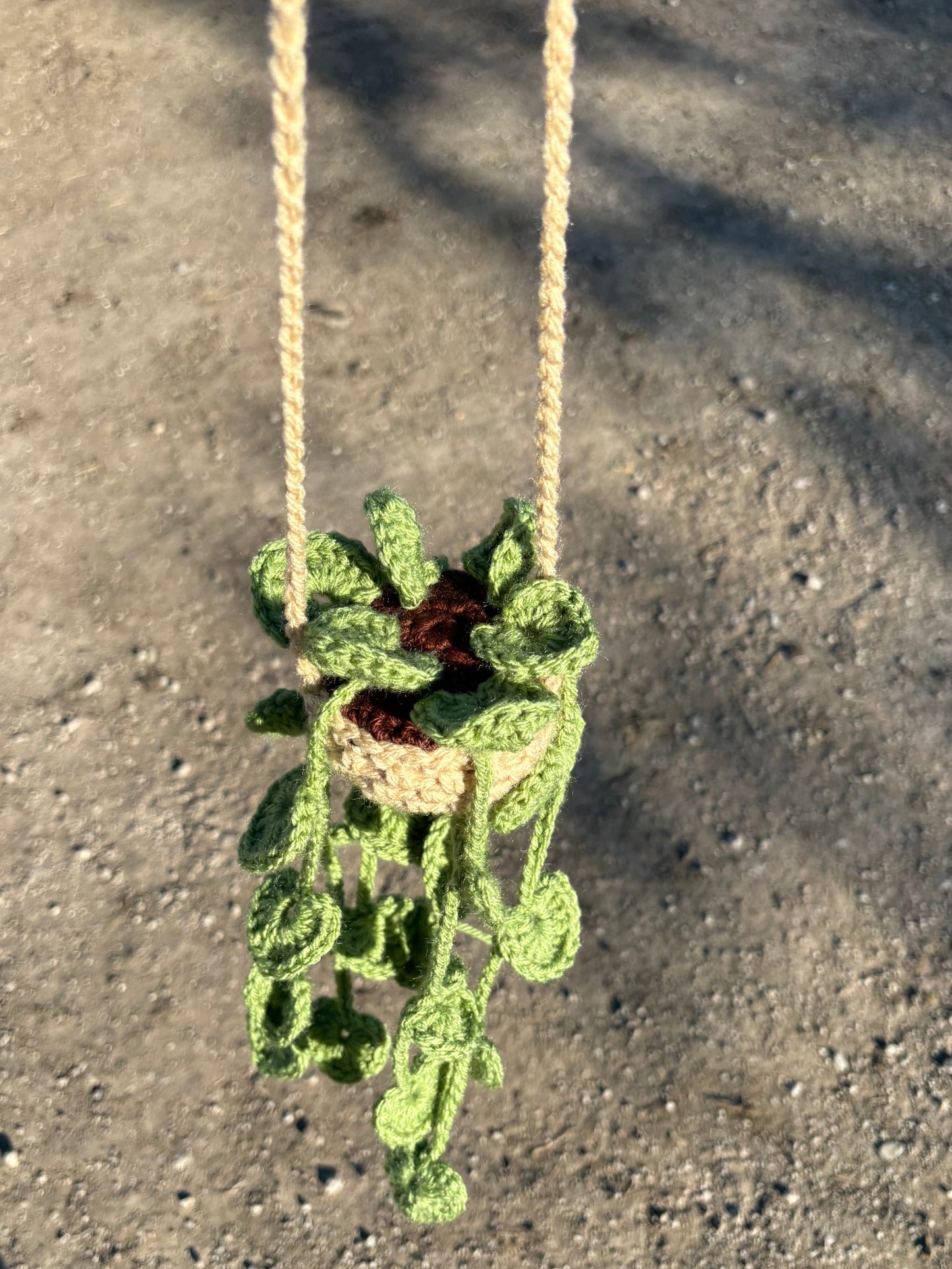 Car mirror hanging plant