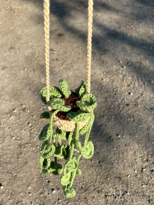 Car mirror hanging plant