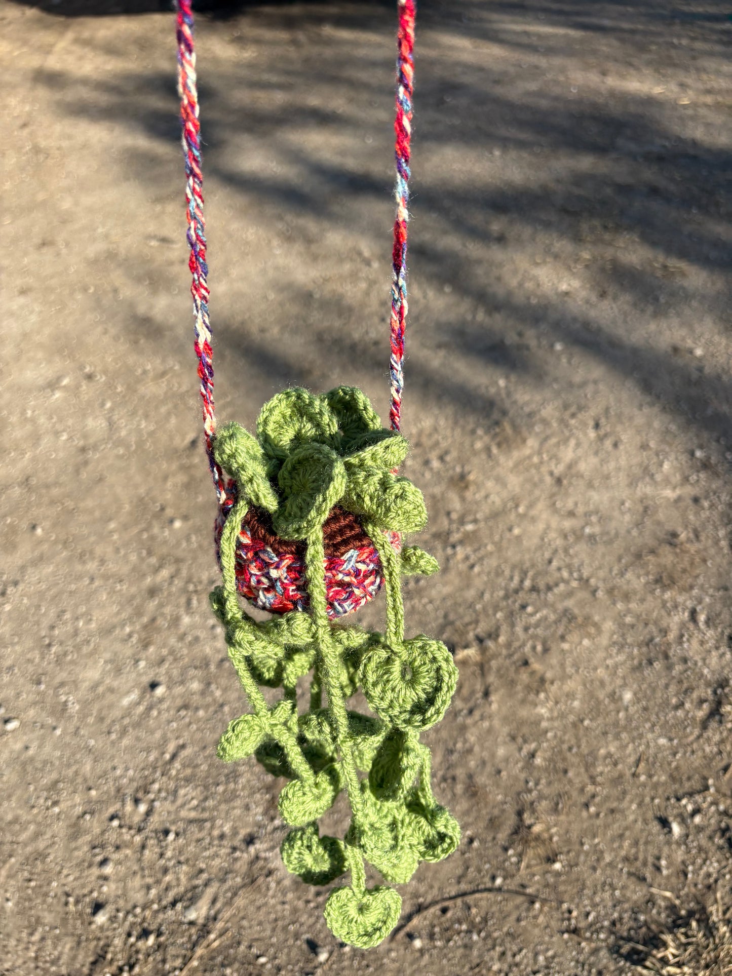 Car mirror hanging plant