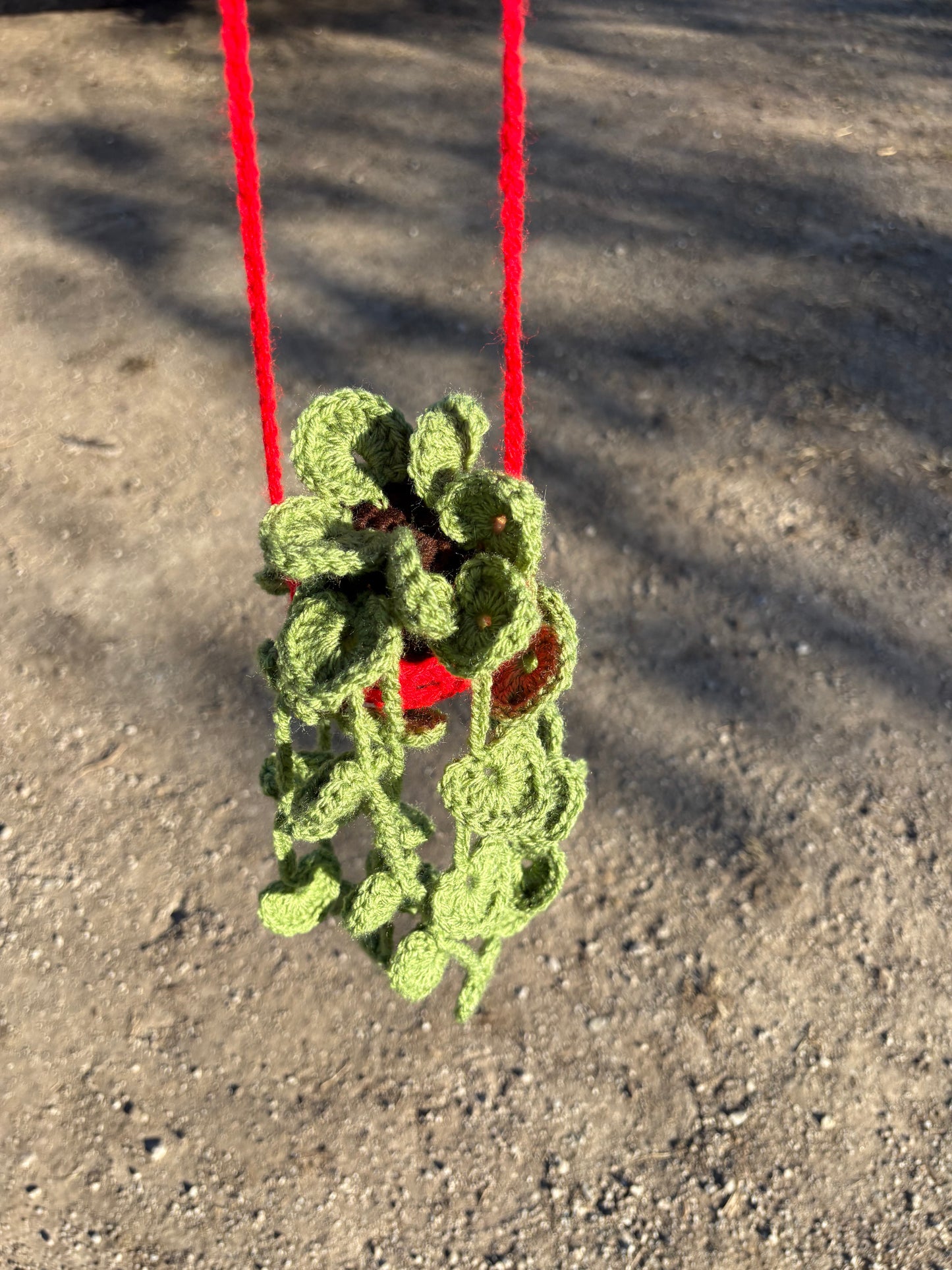 Car mirror hanging plant